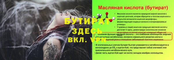 дурь Бородино