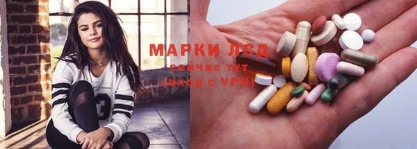 дурь Бородино
