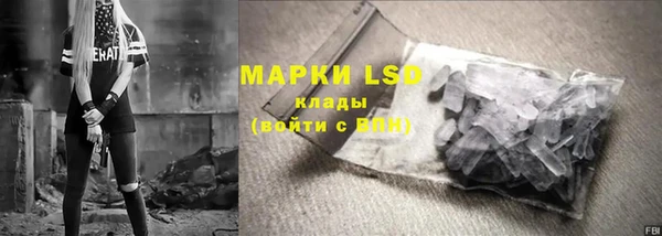 дурь Бородино