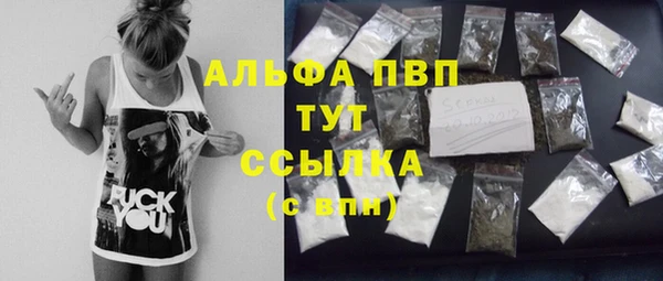дурь Бородино