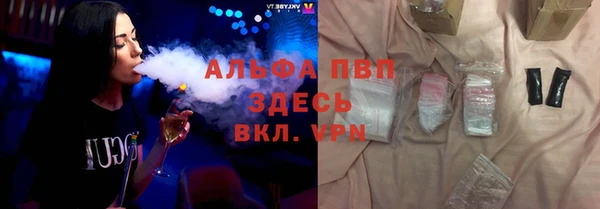 спиды Богданович