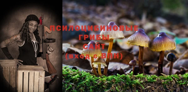 герыч Белокуриха