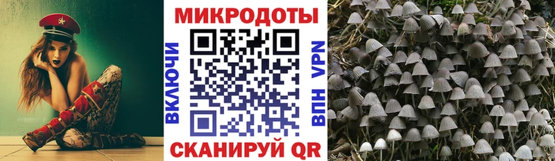 Псилоцибиновые грибы мухоморы  МЕГА онион  Старица 